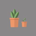 A New Mentality discount code